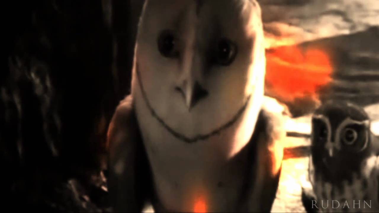 Legend Of The Guardians-Everything **WARNING SPOILERS**
