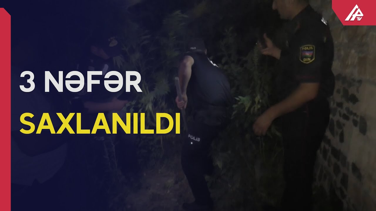 Şəmkirin iki kəndində bağı plantasiyaya çevirənlər saxlanılıb – APA TV