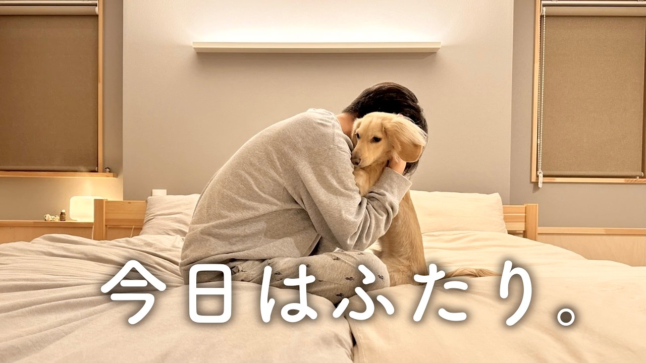妻が夜勤の夜。ダックスとふたりの時間