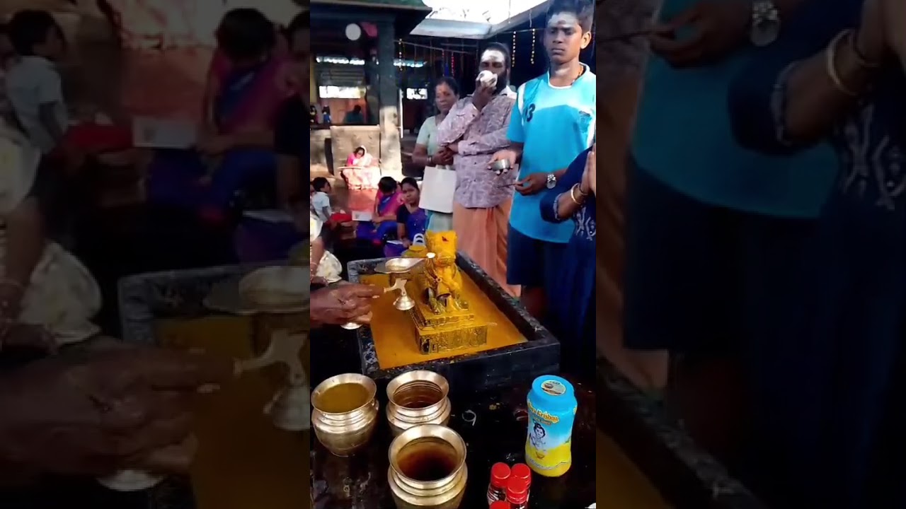 Februari 14/2/26.. karumari Amman kovil attipattu sivan kovil pradosam 
