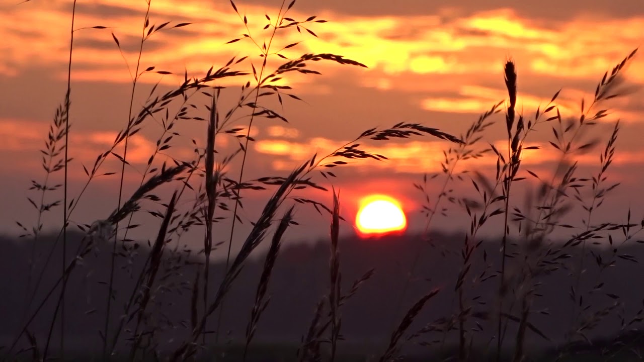 Zonsondergang bij Ouddorp