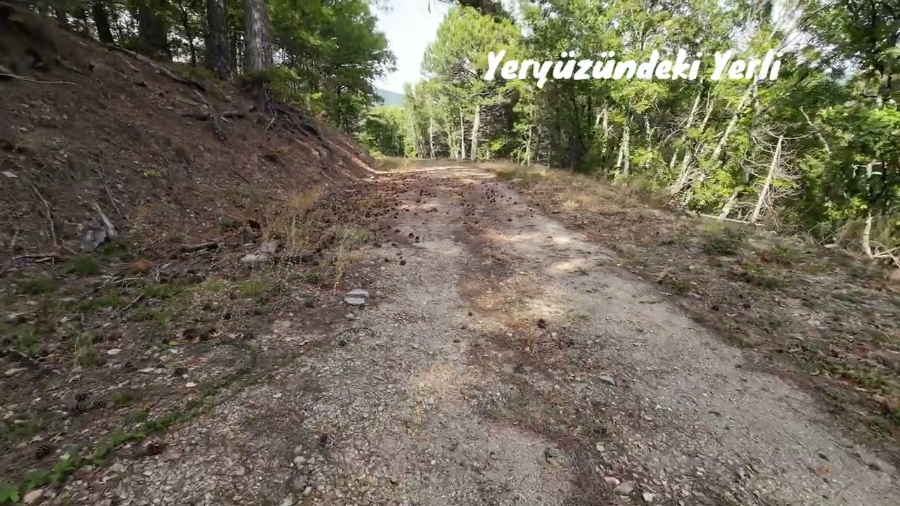 Kaz Dağları Yürüyüş: Kuş Cıvıltıları Eşliğinde-Kaz Mountains Hiking Accompanied by Birds Chirping
