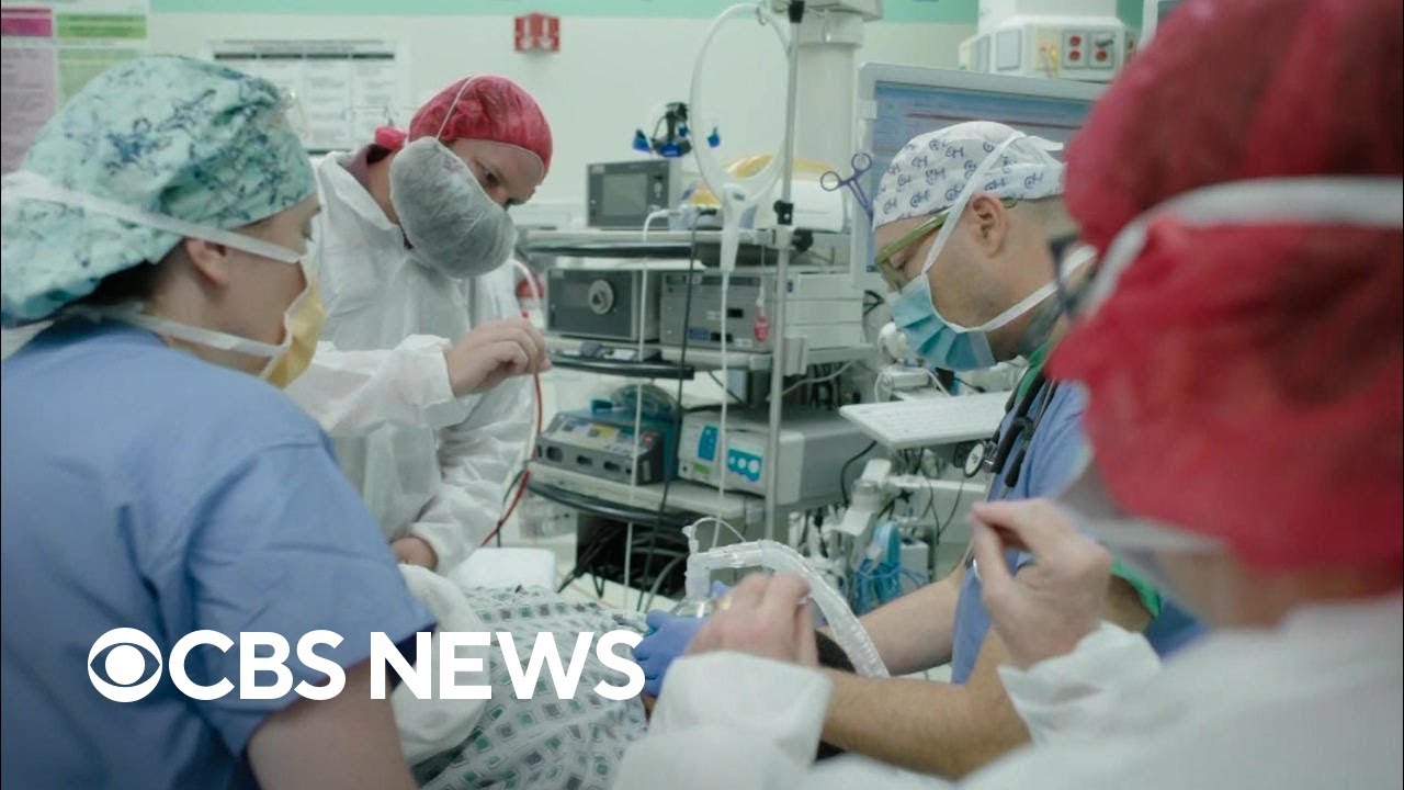 Breakthrough gene therapy could offer hope for treating hereditary hearing loss