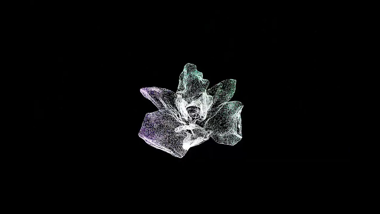 Interactive Media Art '다시, 피어나' (2024)