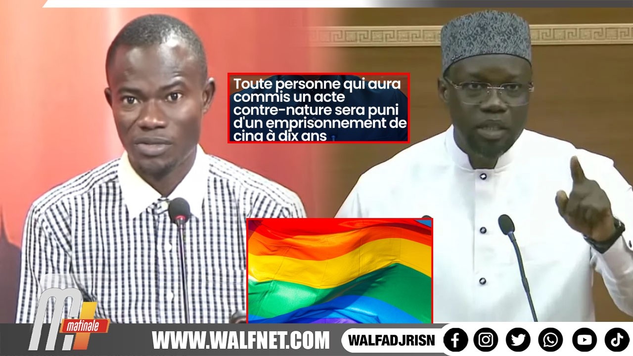 Loi Sonko sur l'homosexualité, peine risquée et amende: les précisions de taille de Cheikh