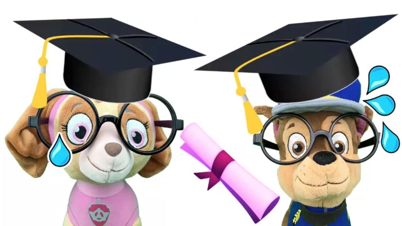 Patrulla Canina Español ¿NOS GRADUAMOS EN EL COLE O ESCUELA PARA NAVIDAD?/Paw patrol español cap 67
