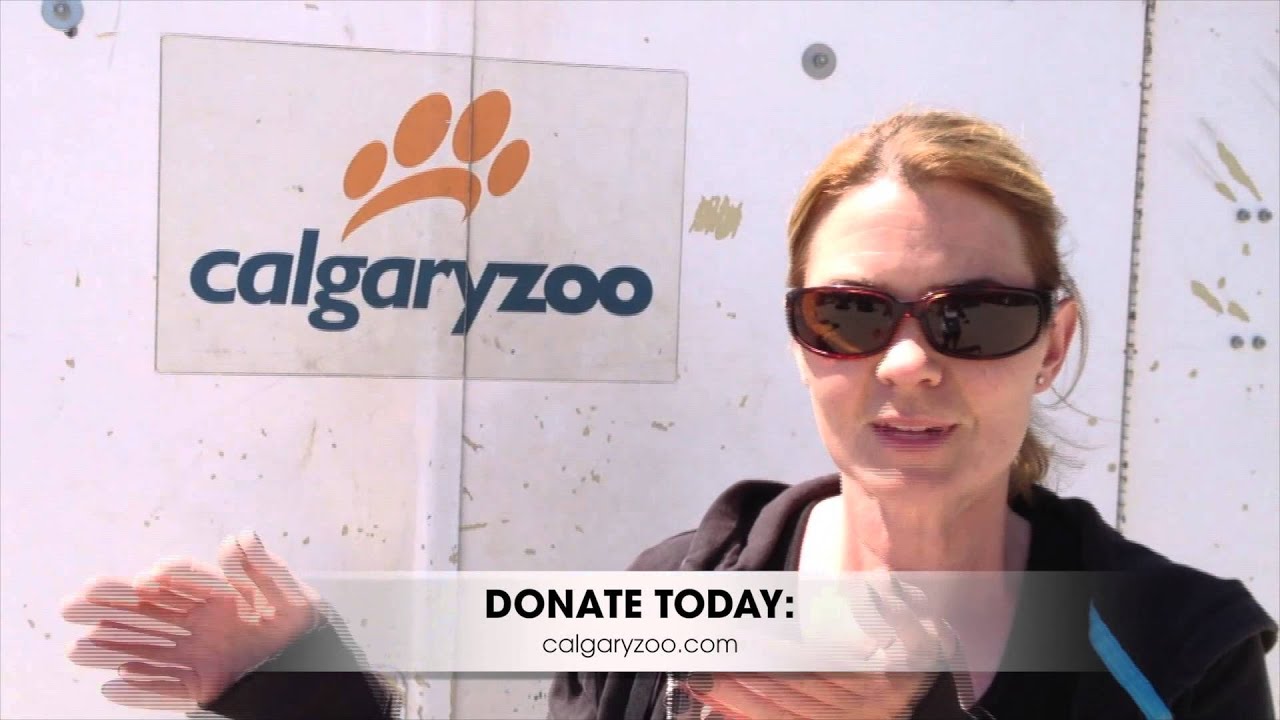 Calgary Zoo- 2 by 2 Rebuild the Zoo #1- Colleen
