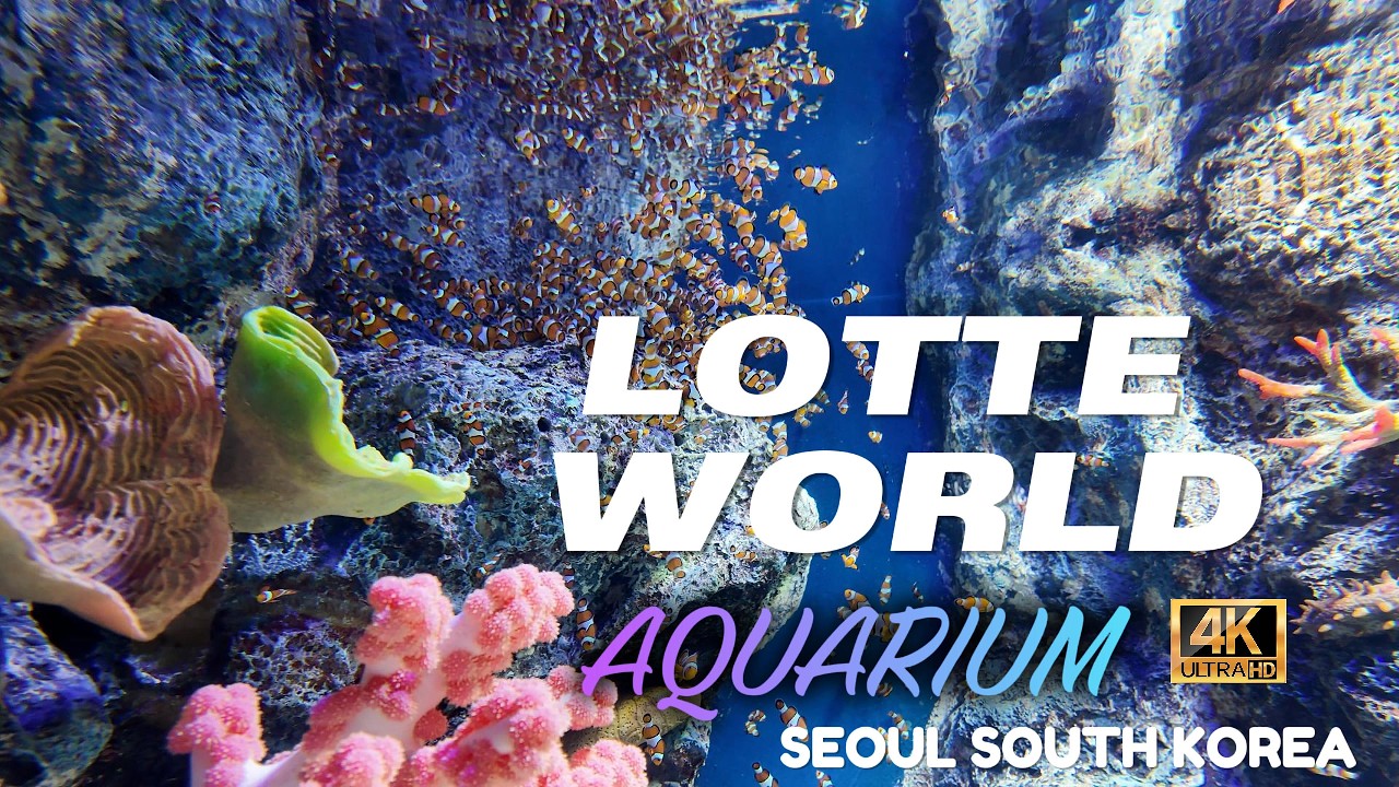 Lotte Worid Aquarium 4K (Seoul, South Korea) 2026🦭🐠