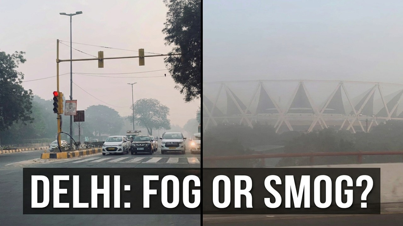 DELHI winter - Foggy or smoggy | INDIA