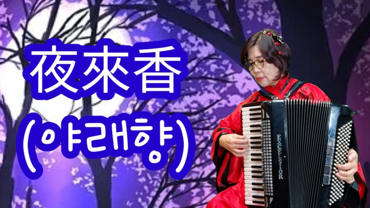 (아코디언연주)⭐Eany석 선생님 🎶야래향