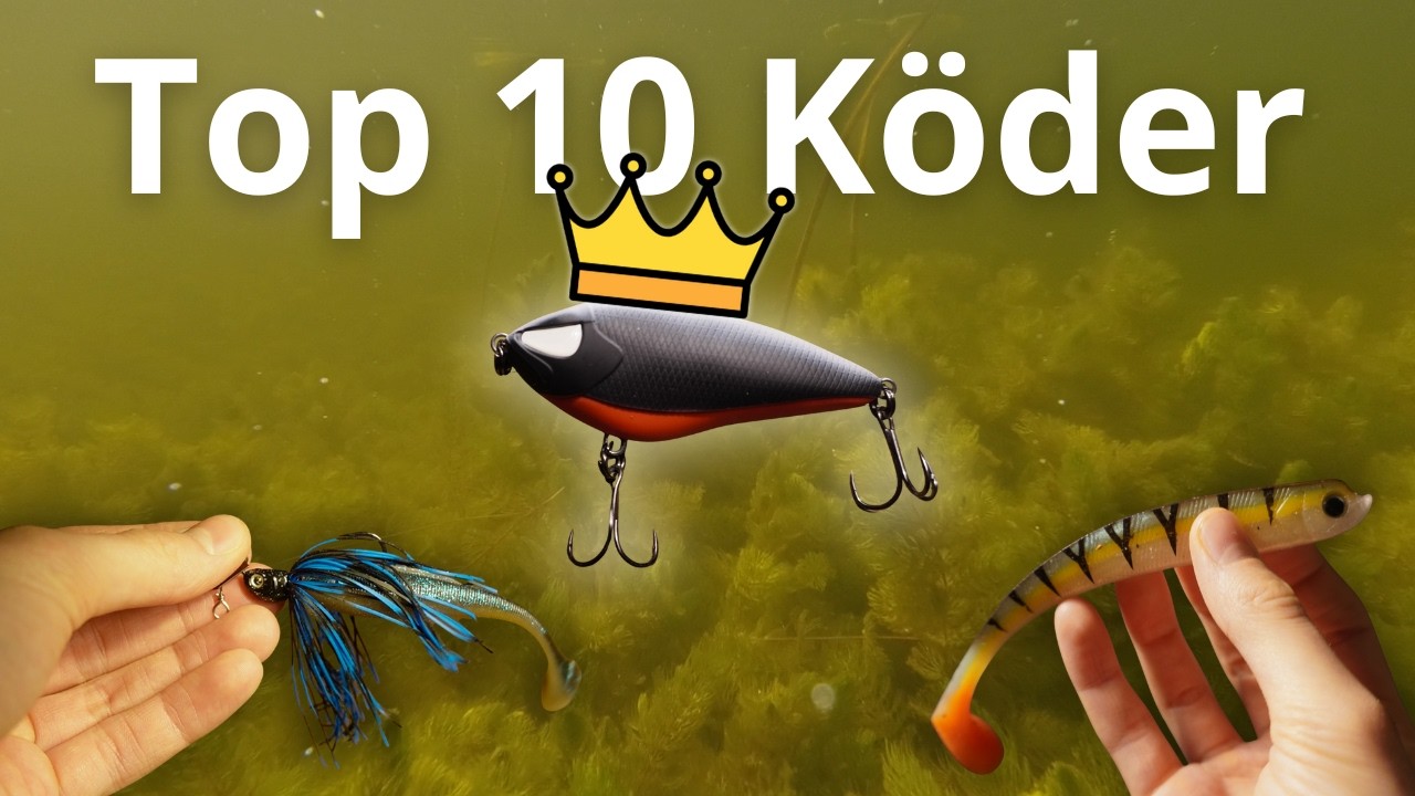 Die 10 BESTEN Kunstk&ouml;der, die jeder Angler haben MUSS! (Kunstk&ouml;der Guide)