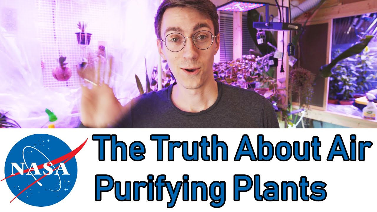 I Built The NASA Plant Air Purifier Experiment