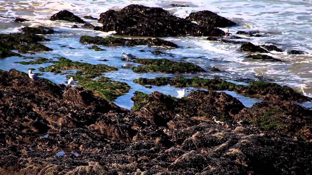 Guidel Beach 31 10 2015 720p