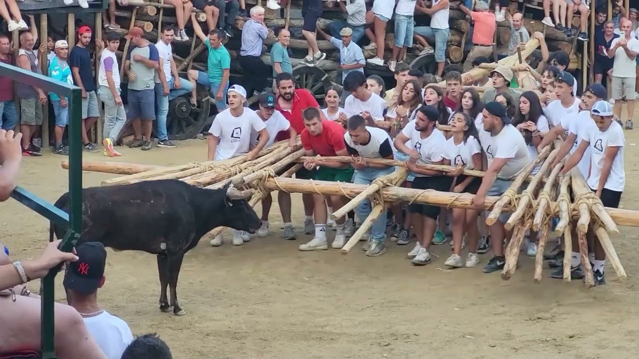 corrida de toros Aldeia Velha 2022
