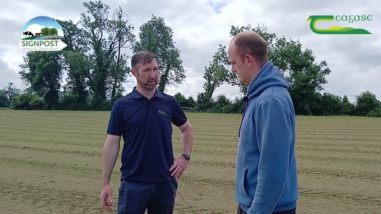 White & Red Clover reseeding In Longford