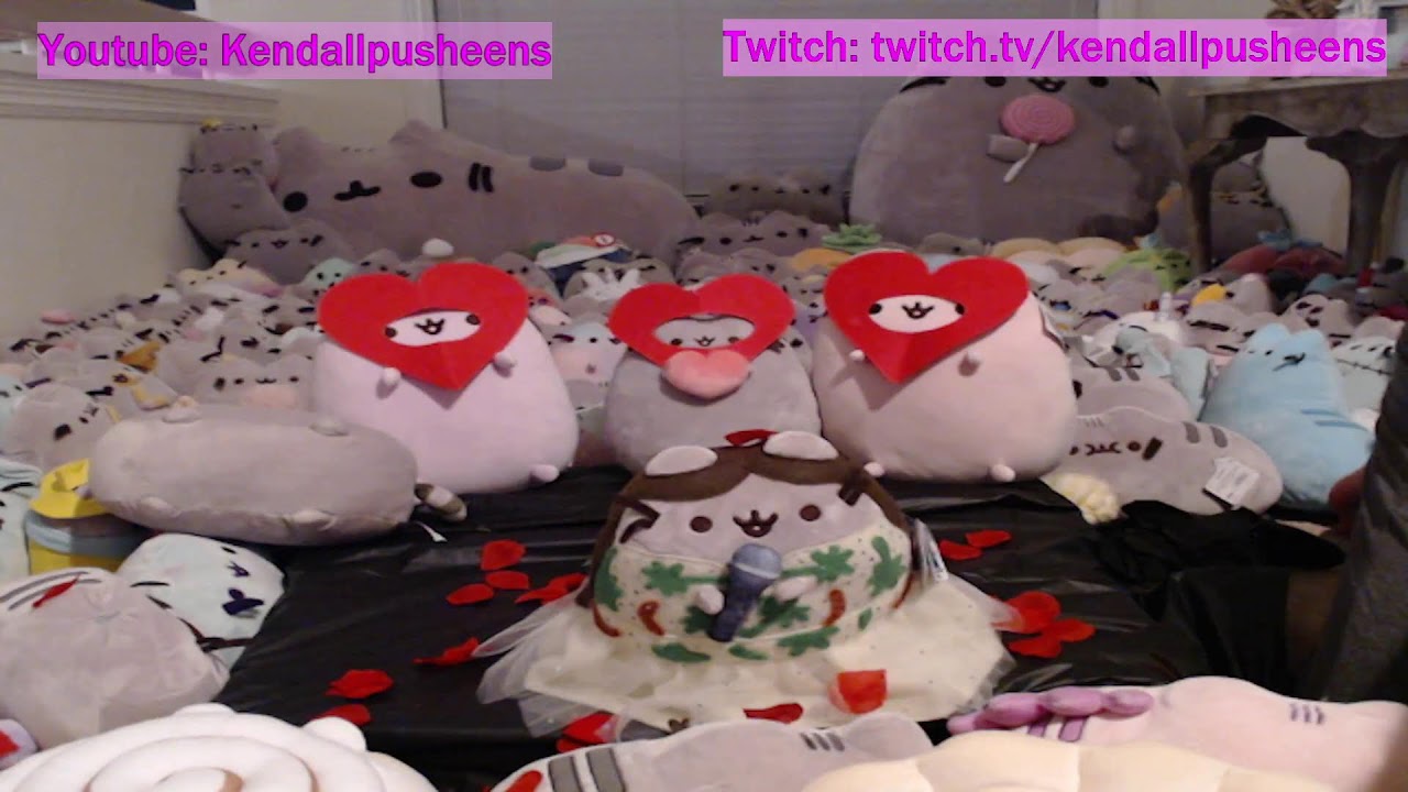 PUSHEEN CONCERT TIME