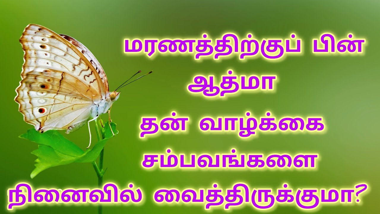 மரணத்திற்குப் பின் ஆத்மா தன் வாழ்க்கை சம்பவங்களை நினைவில்  வைத்திருக்குமா?