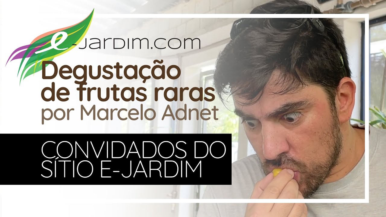 Degustação de Frutas Raras com Marcelo Adnet no Sítio E-jardim