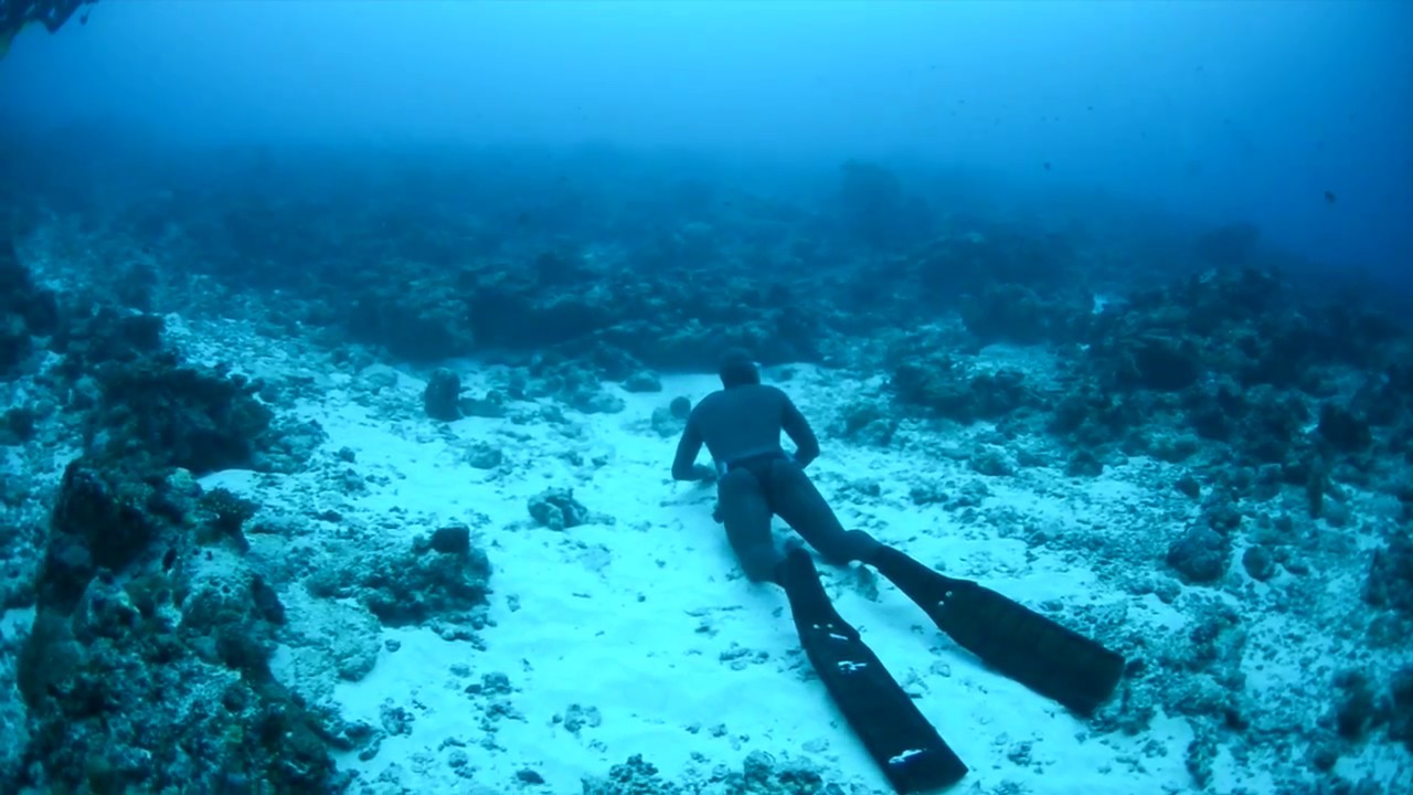 PADI FREEDIVING ( Music: vengeance Zack Hemzey )