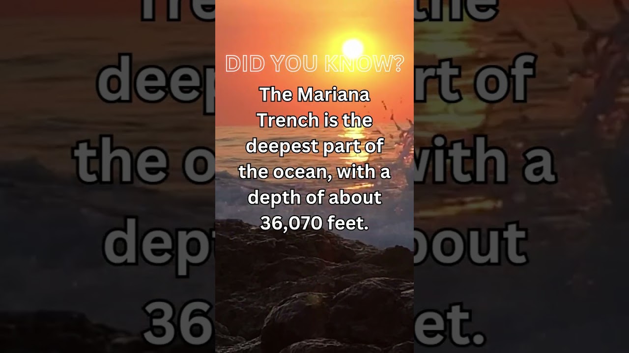 Oceanography: Marina Trench  #shorts  #oceanlife