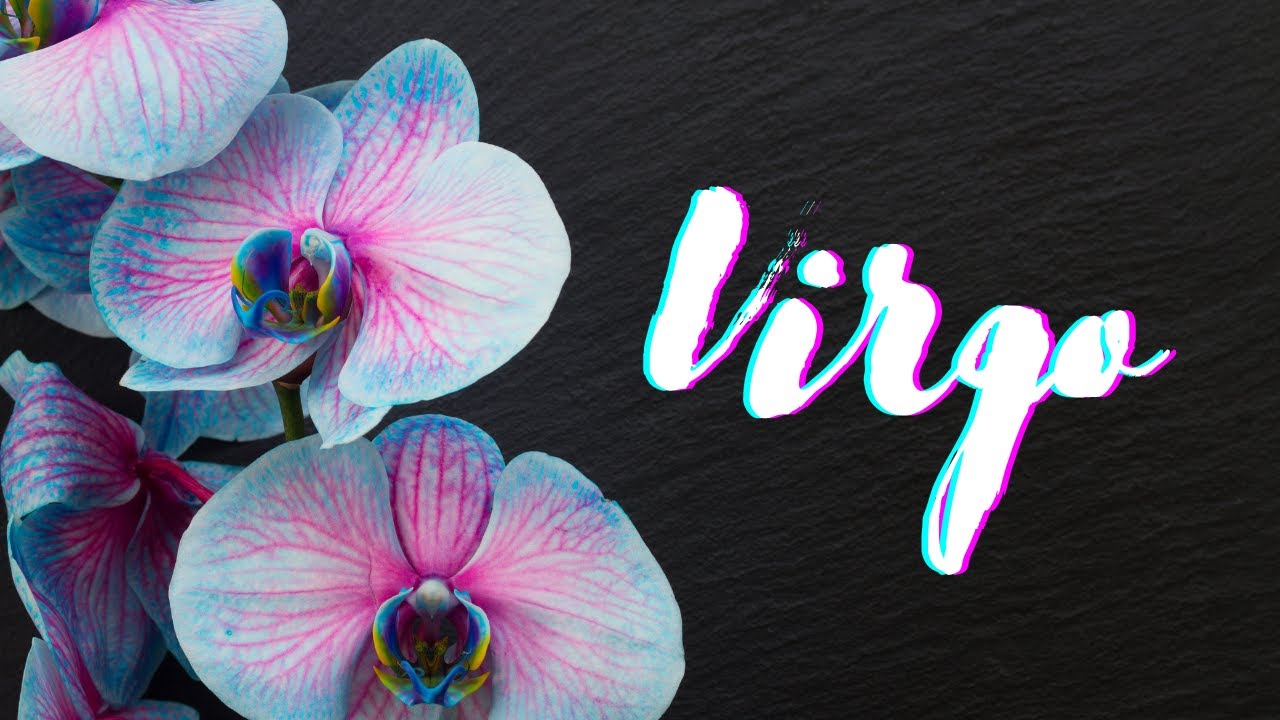Virgo💜This Is Your Twin Soul, Virgo🔮A Powerful Lasting Love-They Have A Lot To Offer💜Singles