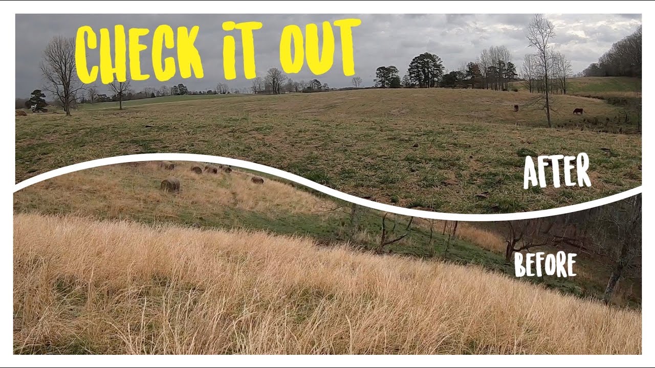 Hay Grid and Bale Grazing Update
