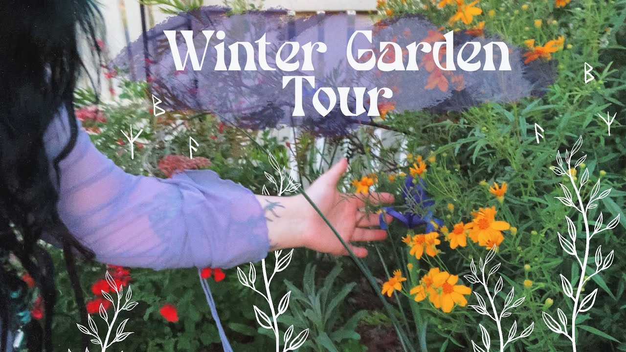 my winter garden tour in Queensland Australia.. (the sub tropics)