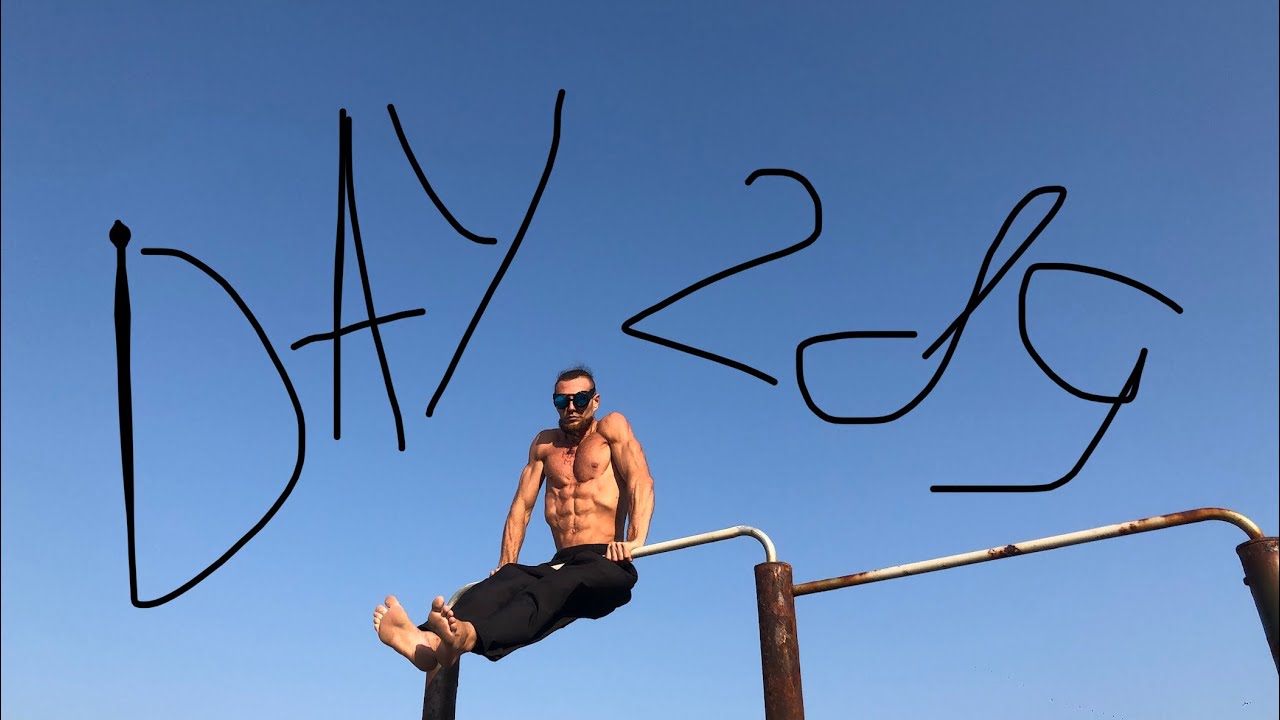Calisthenics workout day 289 trying to get 8 packs with body weight exercises