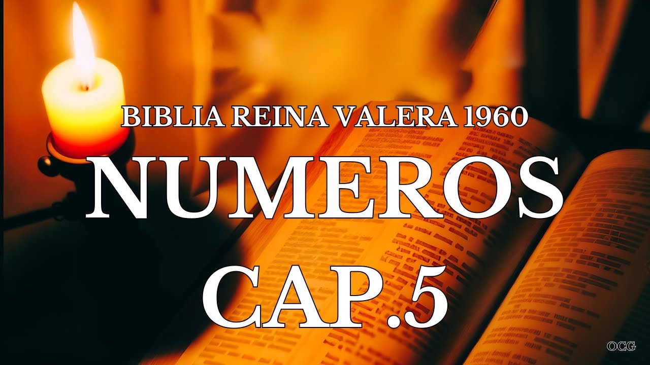 Biblia Hablada-BIBLIA REINA VALERA 1960-NUMEROS CAP.5