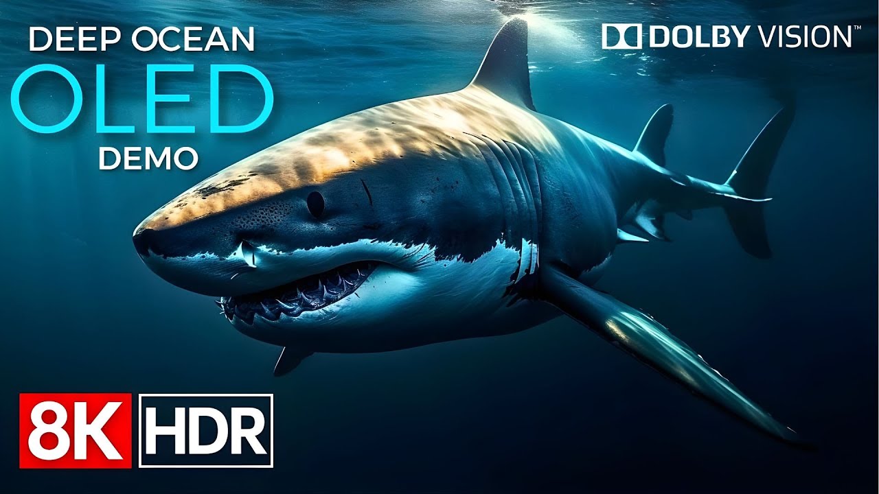 🌊 Under the Red Sea in 4K UHD | Colorful Coral Reef Fish & Sleep Meditation Music