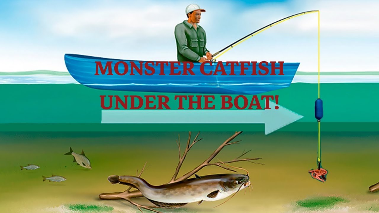 Boat Catfish: How I Learned to Read American Rivers