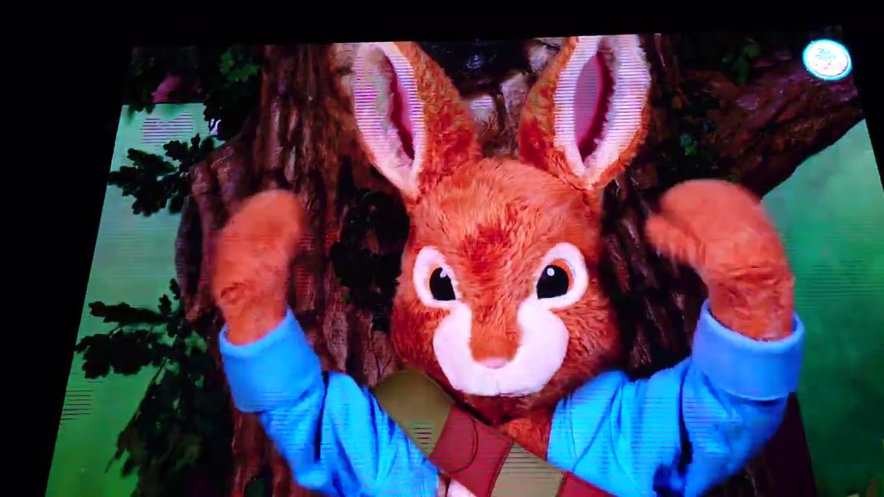 Peter rabbit at Blackpool illuminations 2022