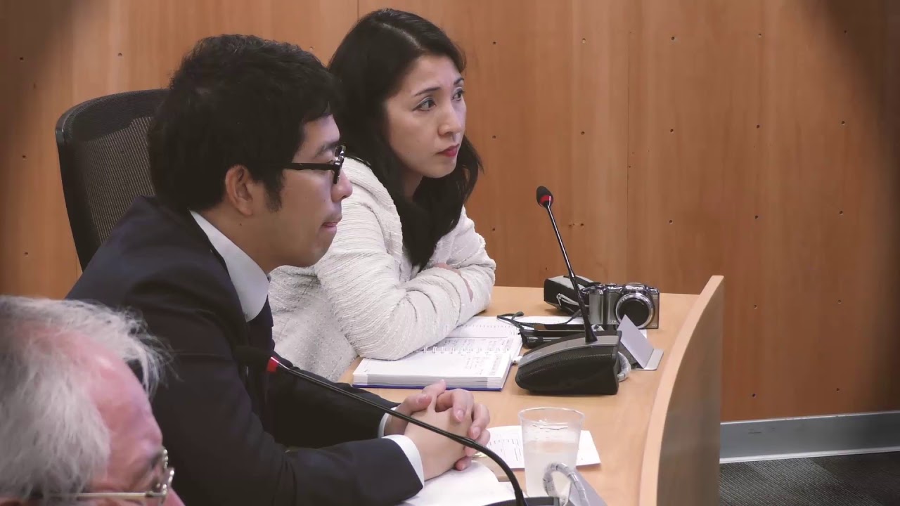 SISTEMA TDT EN PER&Uacute;