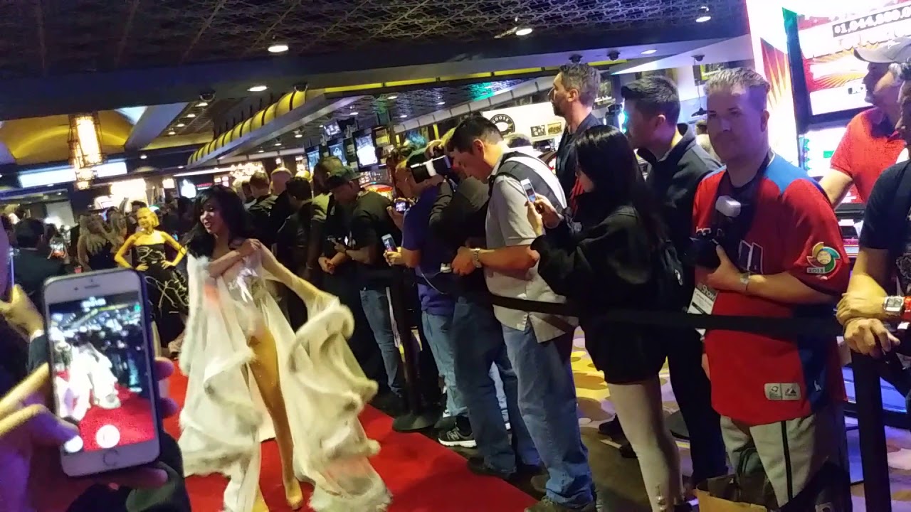 AVN AWARDS 2018 Red Carpet ft. You can't rush her (Amazing outfits)