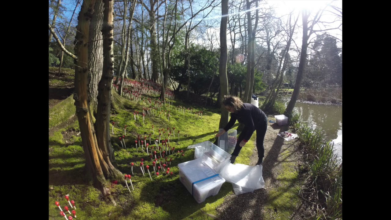 Ri&euml;lle Beekmans 'Kusjes Bloembed' - Installation