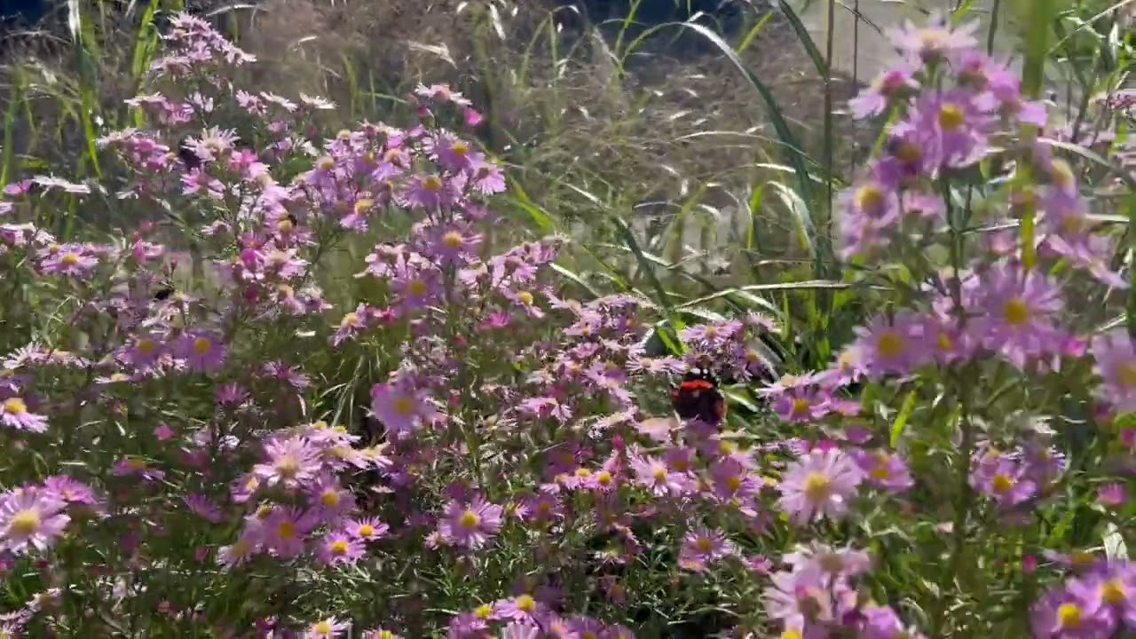 Das Flachshaus - Sommerfrische in Aidling am Riegsee