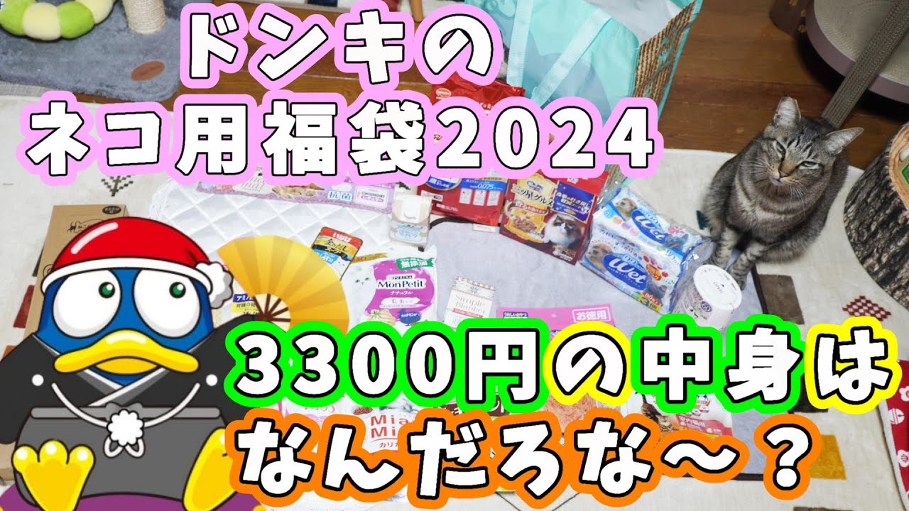 【福袋2024】ドンキホーテにネコちゃん用福袋売ってるの知ってる？☆3300円の福袋はどれくらいお得？我が家の猫と一緒に中身を見てみるよ【リキちゃんねる　猫動画】 キジトラ 猫のいる暮らし