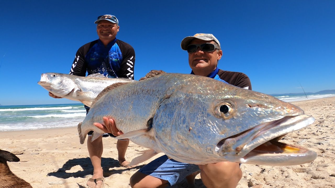 Amazing kob/mulloway catch & cook adventure that WILL make you HUNGRY and in the mood to go FISHING!