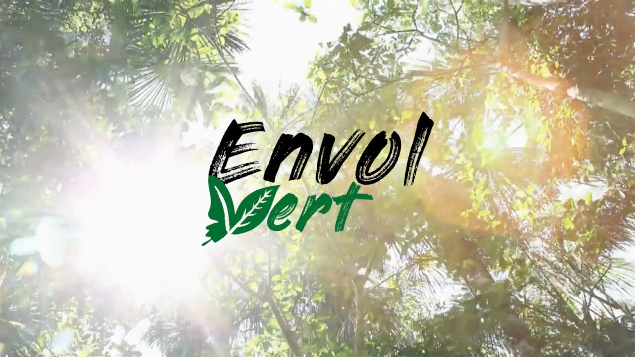 Envol Vert, 10 años de lucha para preservar los bosques