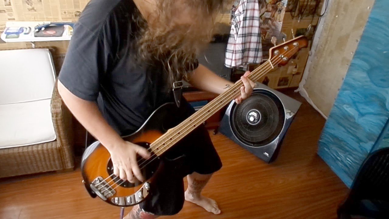 Red Hot Chili Peppers - Stone Cold Bush - Bass cover