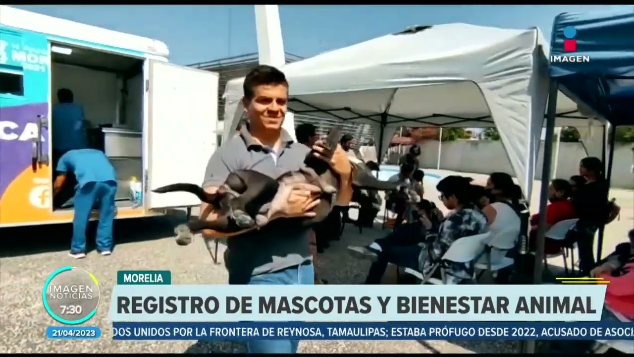 Lanzan "Juskas", proyecto para reducir los índices de maltrato animal en Morelia | Francisco Zea