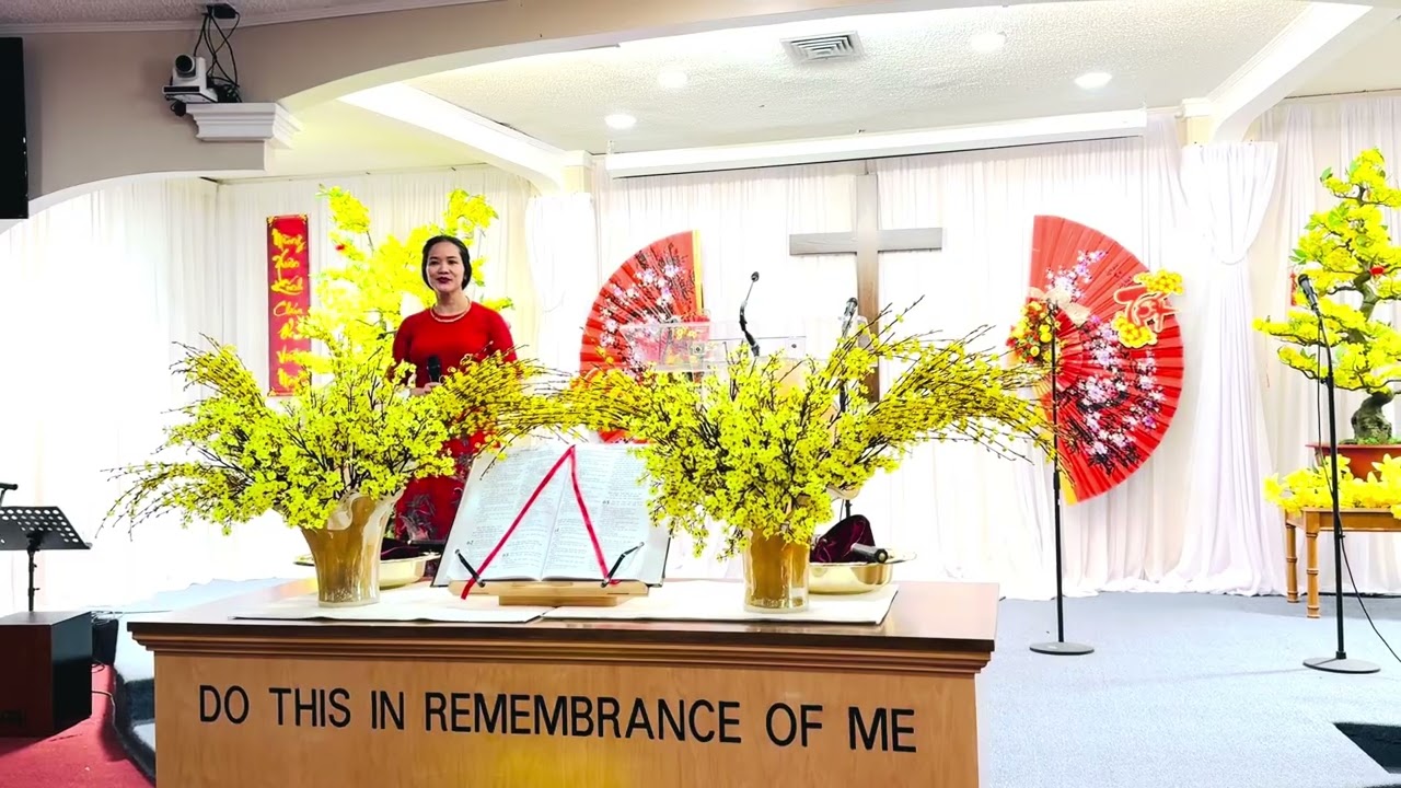 Tan co “Nếu ai hỏi danh Thượng De” - Tết 🧧VN 2026