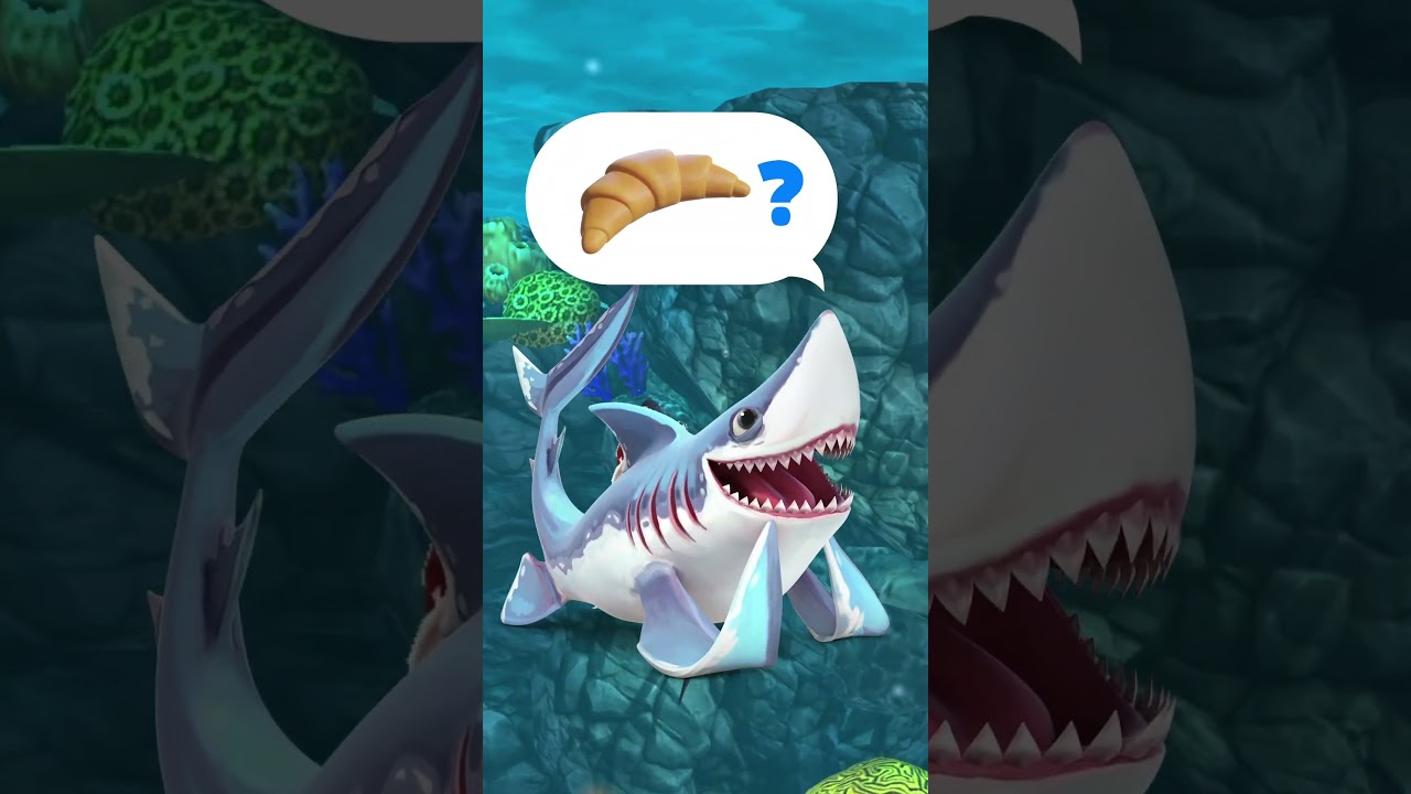 Hungry Shark | Quaso!