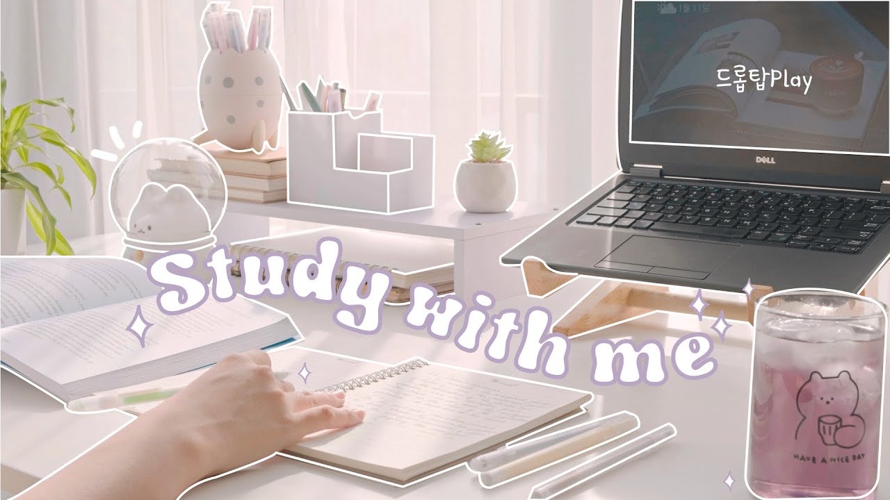 1 HOUR STUDY WITH ME on a sunny day📚Calm Lofi, Soft Fire,10 min break/ Ambience for Study with Niki