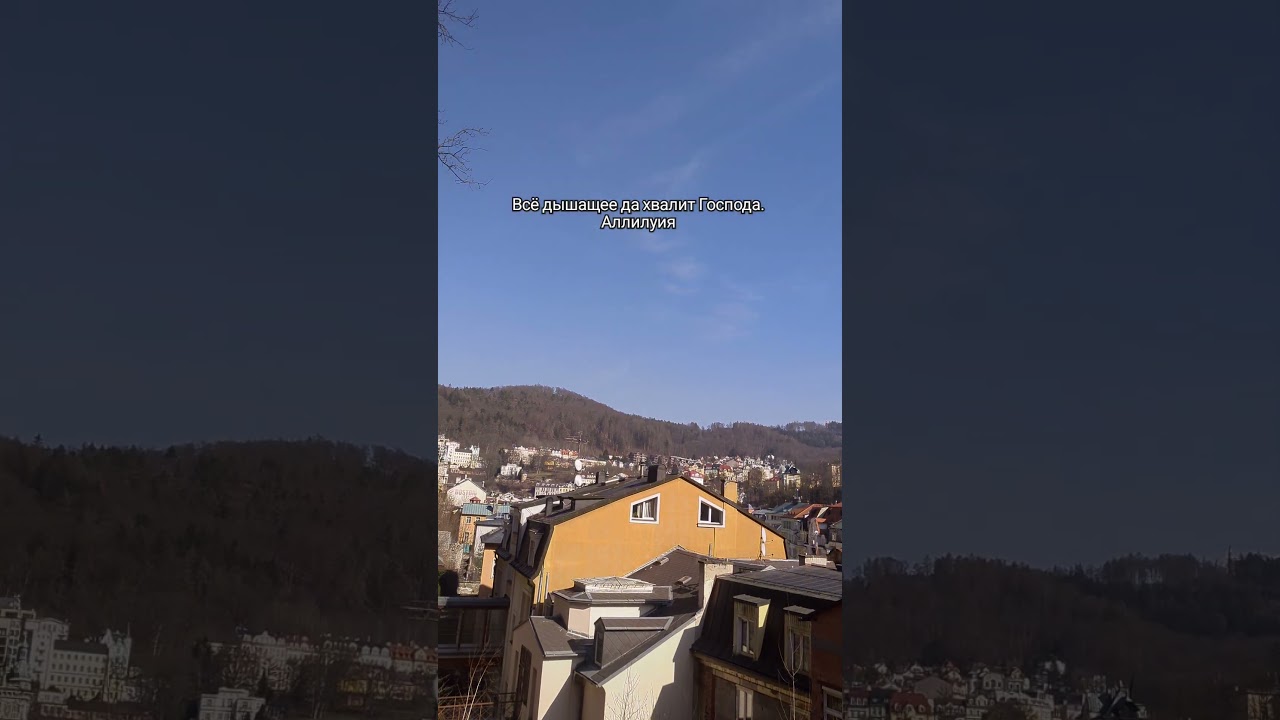 Христос есмь ПАСТЫРЬ ДОБРЫЙ #библия #bibel #germany #short #jesus #video #viral #bible #love #short