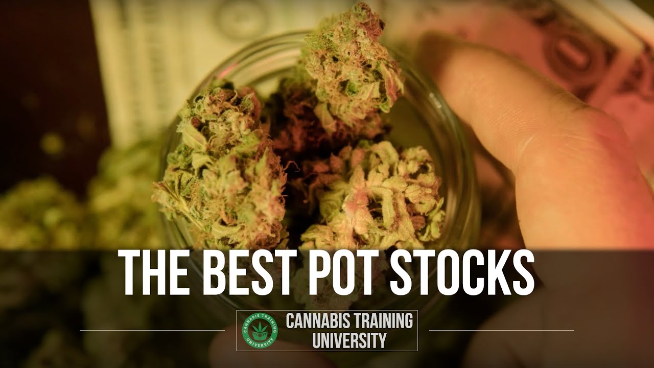 How to invest in Cannabis: Top 7 Pot Stocks. Best Weed Stocks! Marijuana Stocks To Buy!