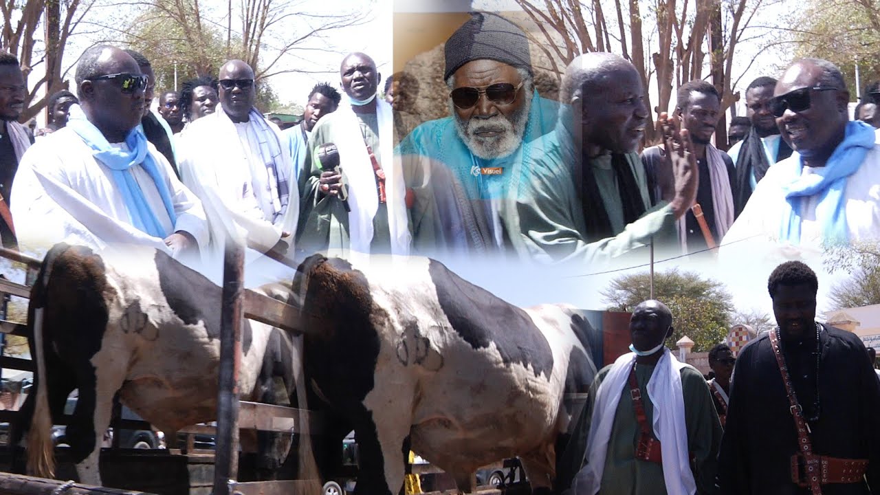 Ramadan 2026 Déballé Adiya Général Omar Seck Ak Wa Dahira Alalli Mame Cheikh Ibrahima Fall 