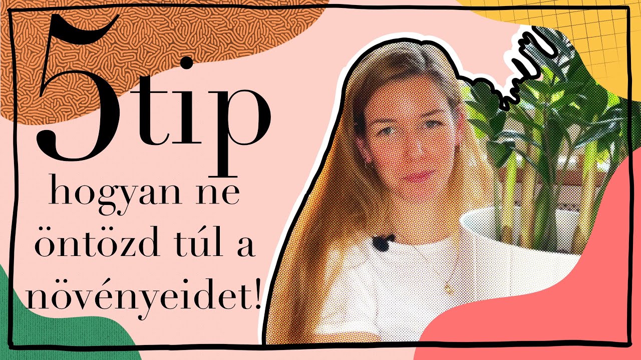Hogyan ne öntözd túl a növényeidet! 5 tip kirohasztás ellen! Mikor kell a növényeket megöntözni!