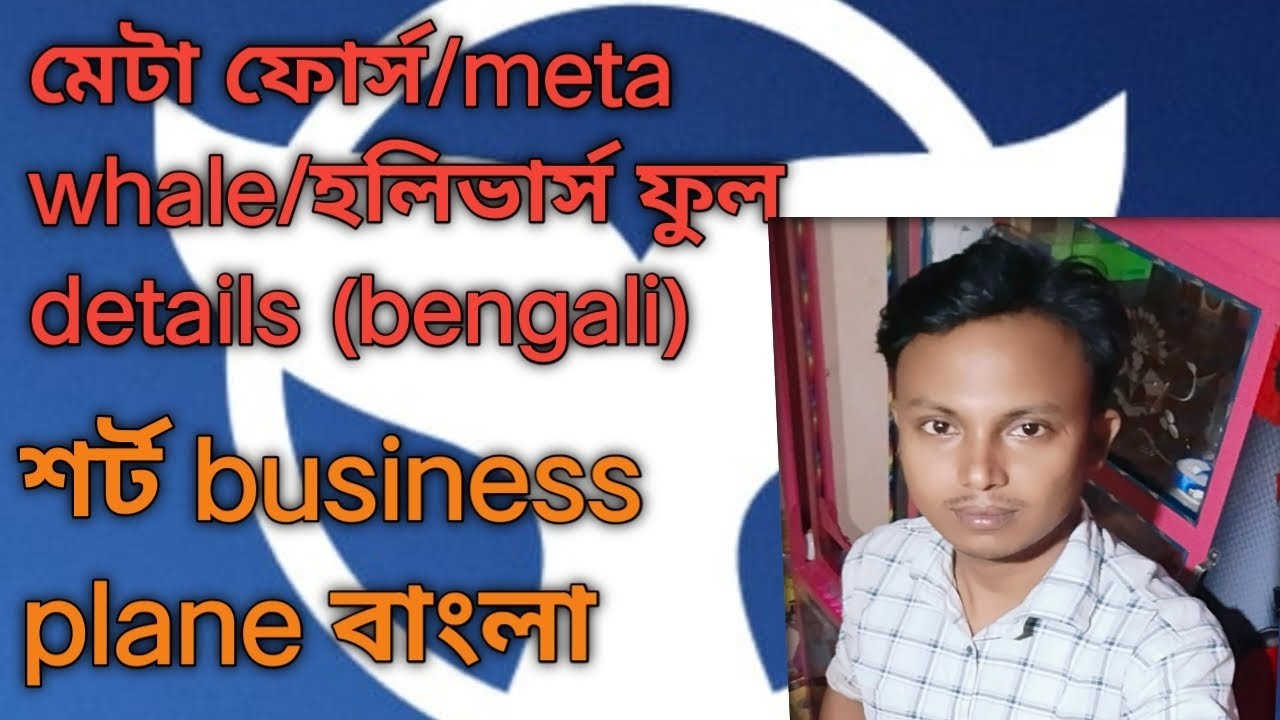 Meta ফোর্স/meta whale/holiverse (bengali) business plane #t&s #ces #plane #metaforce #metawhale #hc