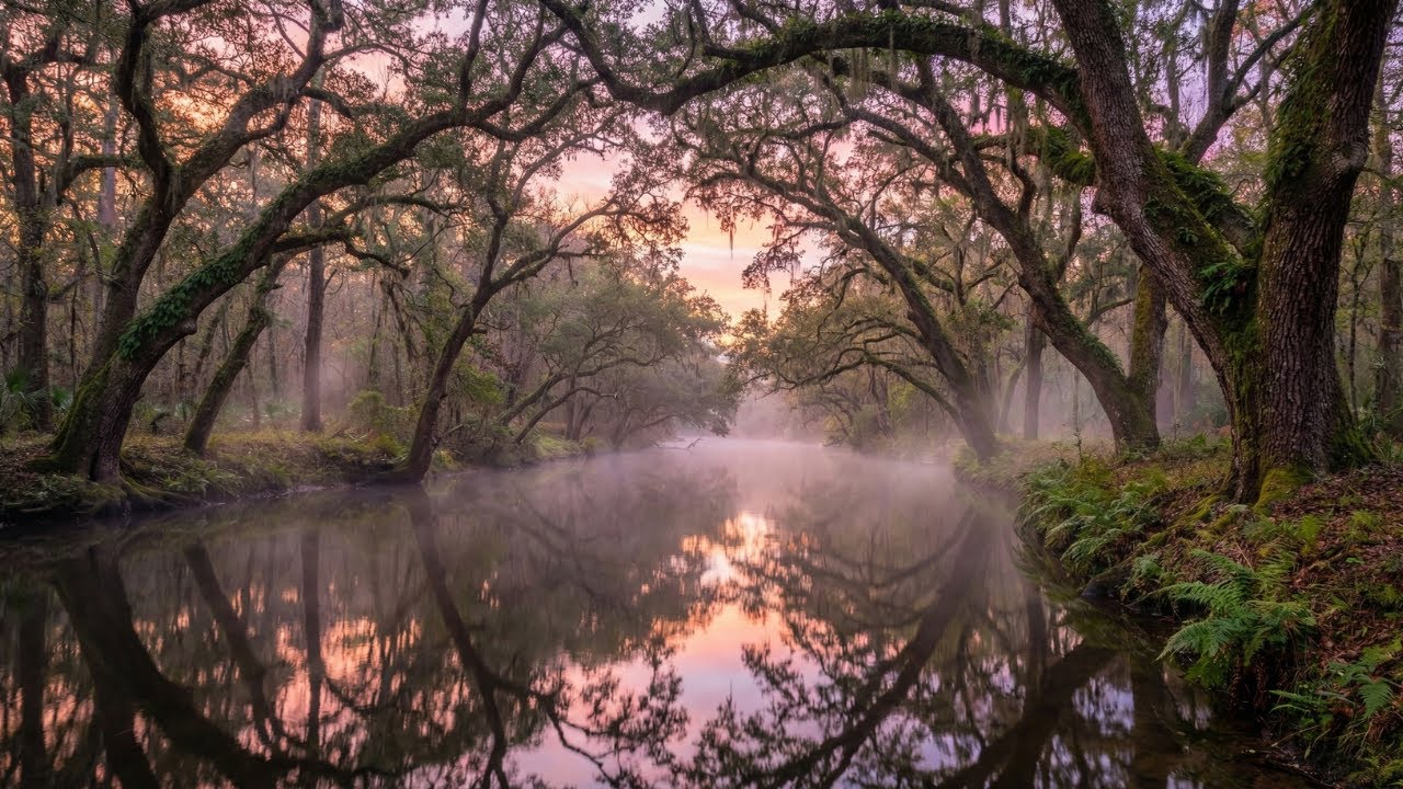 Beautiful Relaxing Piano & River Ambience 🌲 Soothe Your Mind, Body & Soul Instantly